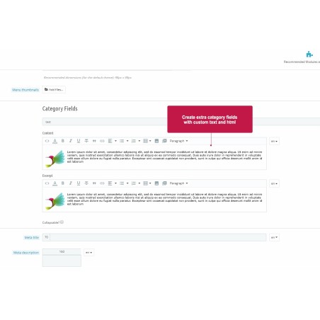 Category Fields - Prestashop Module