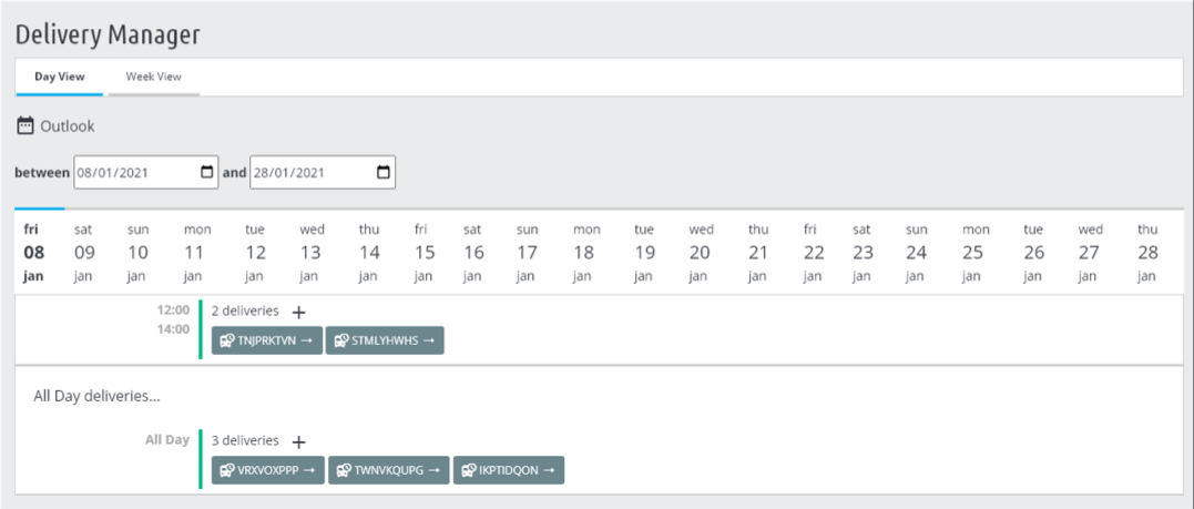 Delivery manager day view
